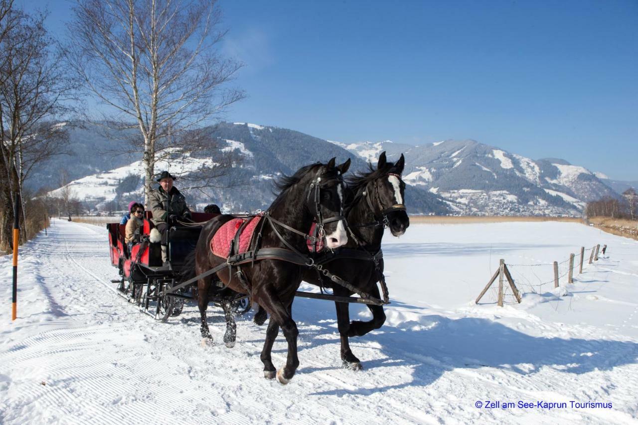 Areit One Family And Friends Apartment Zell am See Esterno foto